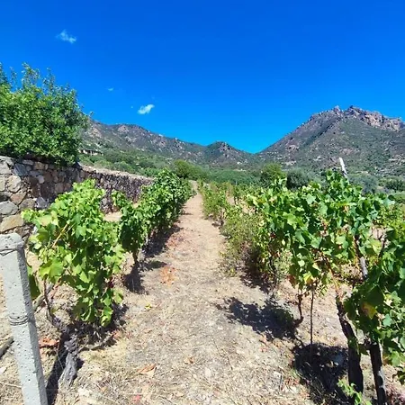 Casa Immersa Nella Natura Con Vista Mare E Monti Sardegna Apartment